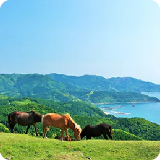 緑の丘で草を食む馬と、海や山が続く風景