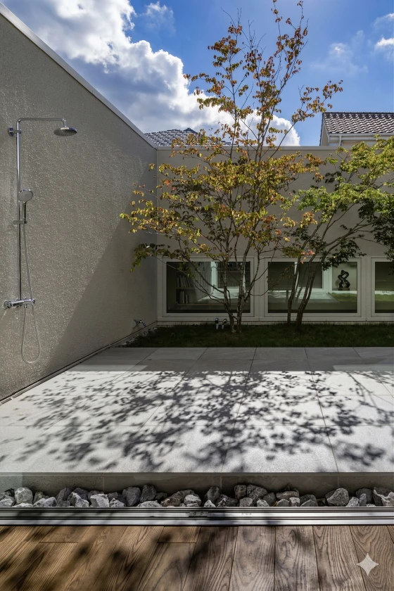 植栽の木と白い壁、淡い色の床。木の影が落ちるミニマルな中庭