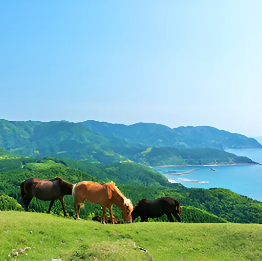 宮崎の海岸の風景